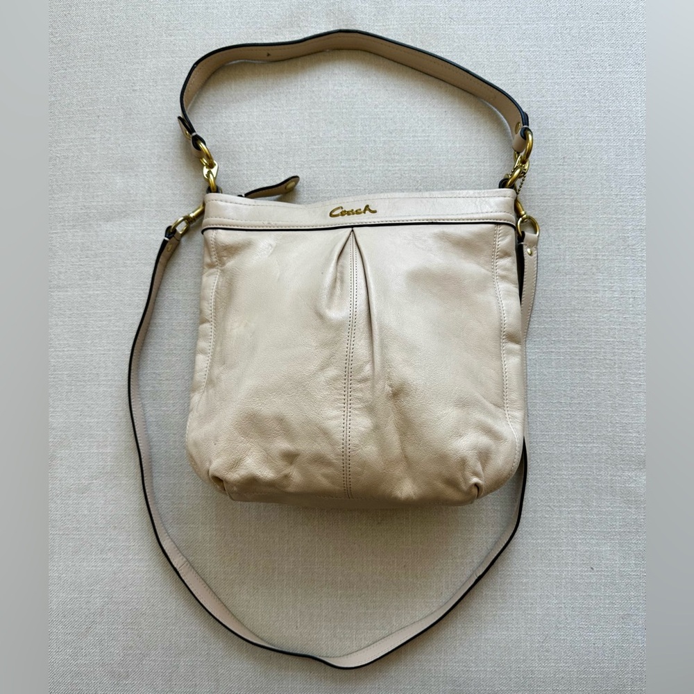 Coach Ashley Hobo Bag No. D1381-F20114